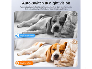 XCAM Max WiFi live view on smartphone