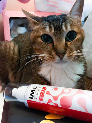 日本製造 IMC 水觸媒持續抗菌液家用系列 - 寵物專用持續抗菌 - GadgetiCloud