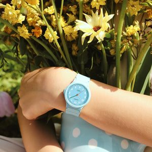 CASIO-LQ-24B-2BDF-front